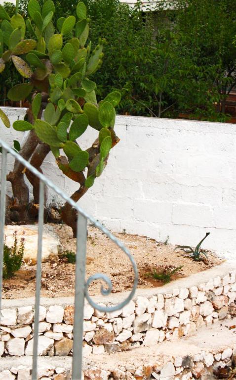 B&B Margherita Ostuni Exteriör bild